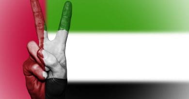 uae flag United Arab Emirates Peace Hand Nation Background