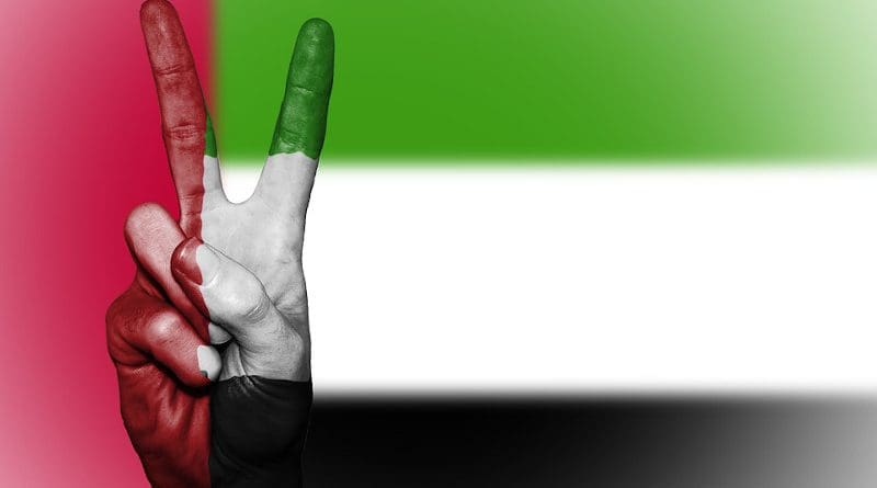 uae flag United Arab Emirates Peace Hand Nation Background