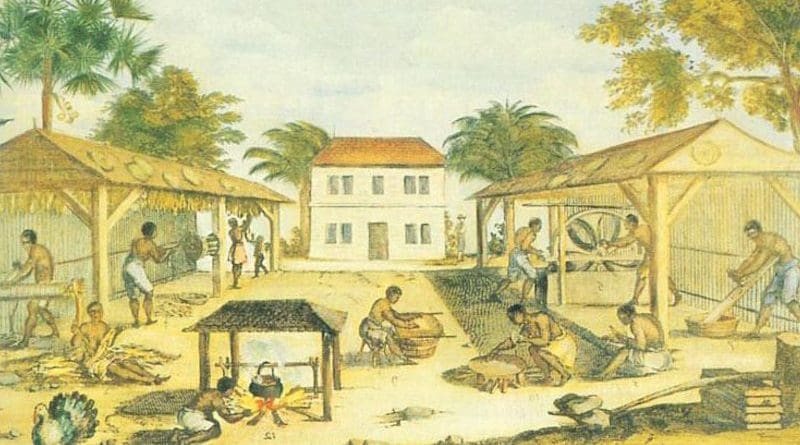 Slaves processing tobacco in 17th-century Virginia. Credit: Author unknown, Wikipedia Commons