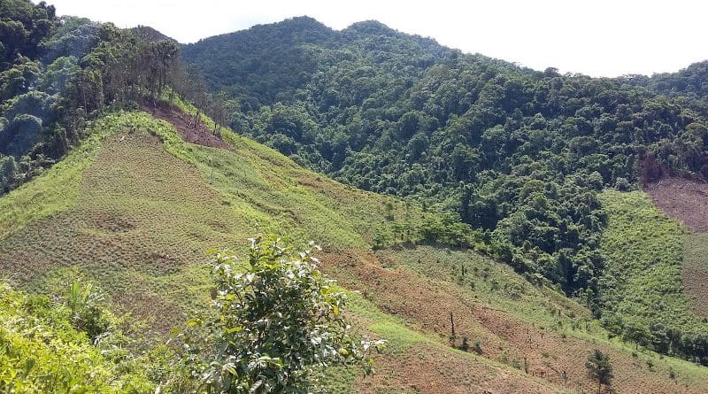 Forests cleared for agriculture on Vietnam mountains CREDIT Dominick Spracklen