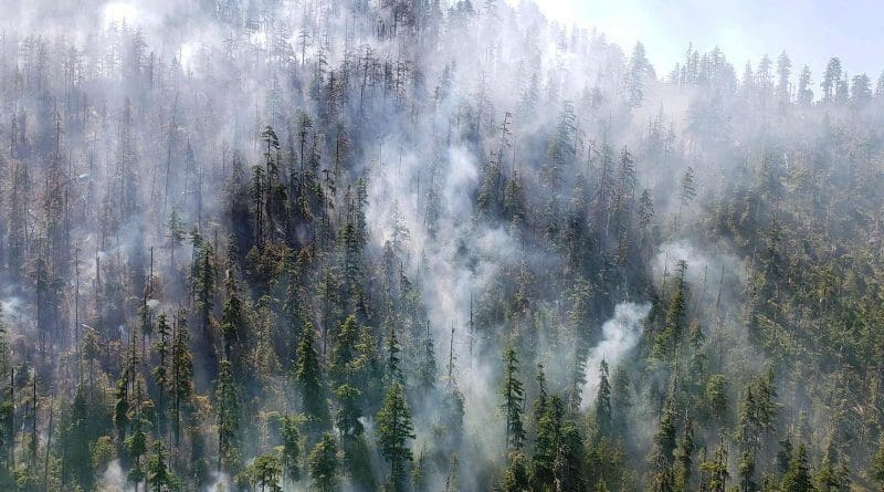 Beachie Creek fire 2020 when it was still small. CREDIT (Photo by James Johnston, OSU College of Forestry)