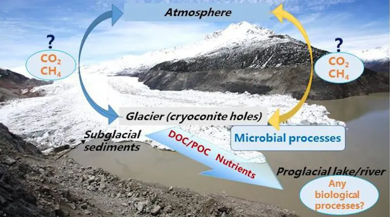 Conceptual diagram of the carbon cycle within a glacial basin in the Tibetan Plateau. CREDIT Dr. Yulan Zhang