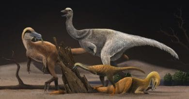 Artistic reconstruction of four representative alvarezsauroids, Haplocheirus sollers (left), Patagonykus puertai (upper middle), Linhenykus monodactylus (lower middle) and Bannykus wulatensis (lower right), illustrating the body size and dieting change in alvarezsauroid dinosaurs CREDIT Zhixin Han/ https://www.artstation.com/xinyanjun