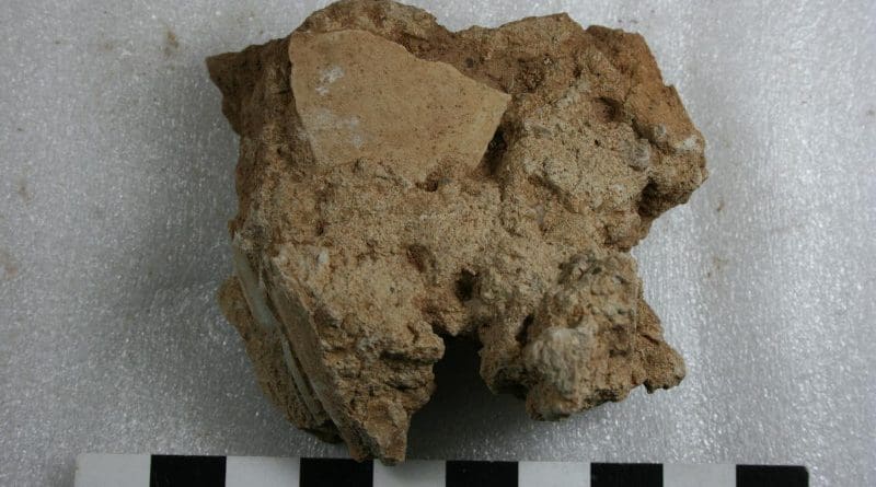ostrich eggshell in calcrete CREDIT Philip Kiberd