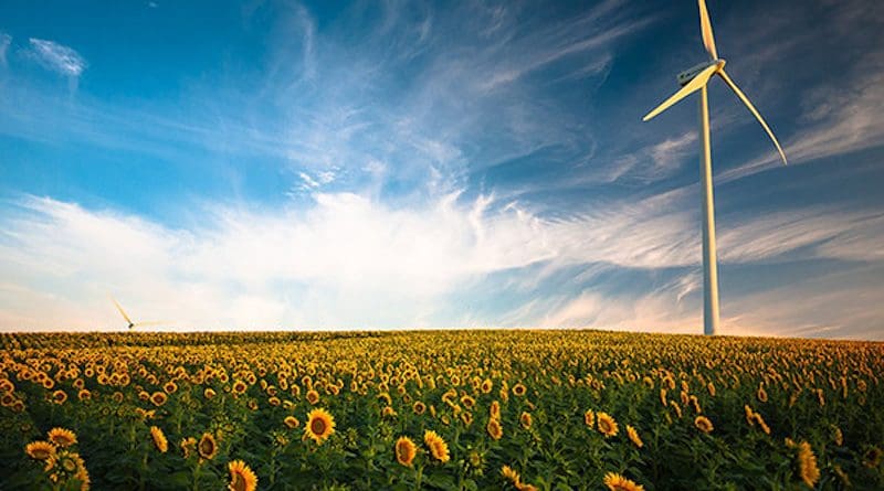 Sunflower field and wind power.(Barbate, Spain). Photo: Gustavo Quepón (@unandalusgus)