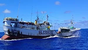 The U.S. Coast Guard Cutter Stratton conducts a fisheries law enforcement boarding on a Chinese Taipei-flagged fishing vessel on the high seas of the Western Pacific in late October 2019. Photo Credit: U.S. Coast Guard