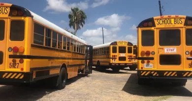 Bus School School Bus Education Transportation