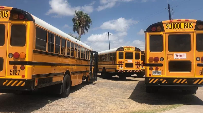 Bus School School Bus Education Transportation