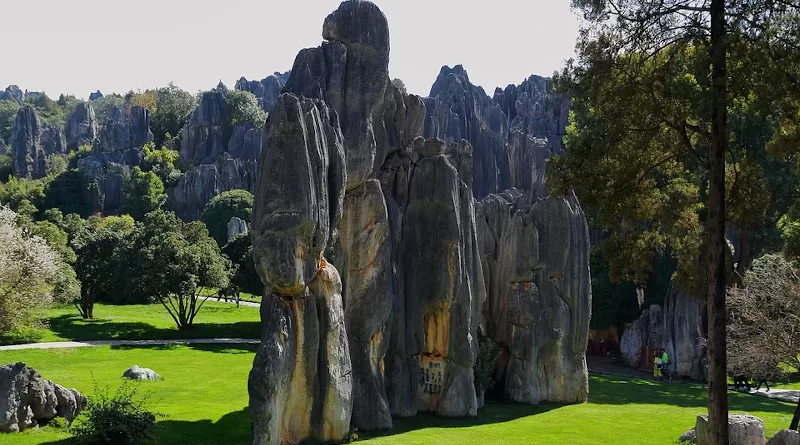 China Stones Kunming Stone Forest Landscape Figure