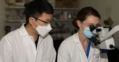 A new study from Washington University School of Medicine in St. Louis shows that a type of "good cholesterol" called HDL3, when produced in the intestine, protects the liver from inflammation and injury. First author Yong-Hyun Han, PhD, (left) and co-author and Washington University surgical resident Emily Onufer, MD, work in the surgical suite where the mouse surgeries were conducted as part of this study. Han did this work while a postdoctoral researcher in the lab of senior author Gwendalyn Randolph, PhD. CREDIT: Brad W. Warner