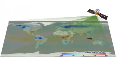 The first global carbon flux map derived by TanSat observation. CREDIT: Dongxu Yang