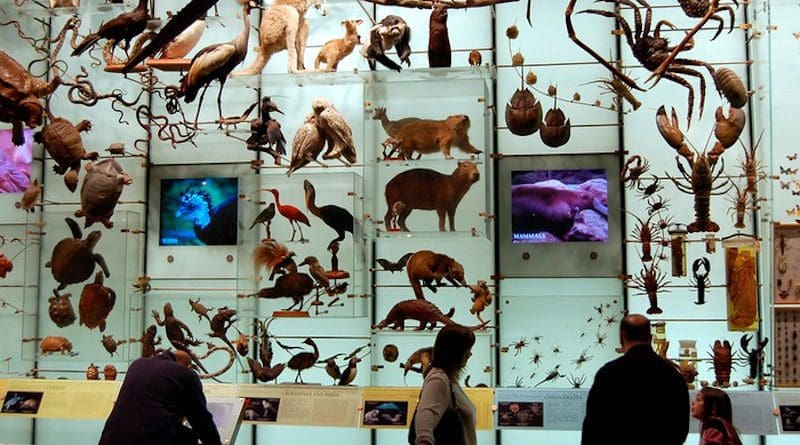 Biodiversity. Just look at all that biodiversity mounted on a wall for your viewing pleasure. At the American Museum of Natural History, New York City. CREDIT: Dano, Flickr, CC-BY 2.0