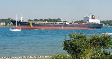 Panama-flagged asphalt/bitumen tanker Asphalt Princess pictured sailing under a previous name. (pxfuel/HaloJim)