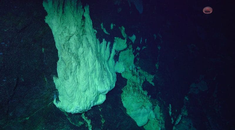 The Lost City hydrothermal vents sit on top of Atlantis Massif, a 2.5-mile-high mountain deep in the Atlantic Ocean. The Lost City and the crustal rock that makes up the mountain are host to a complex ecosystem of microbial life. Now, researchers with Bigelow Laboratory for Ocean Sciences have pioneered a method that could open new windows into our understanding of this life and how organisms live in extreme environments. CREDIT: Susan Lang, U. of S.C. / NSF / ROV Jason / 2018 © WHOI