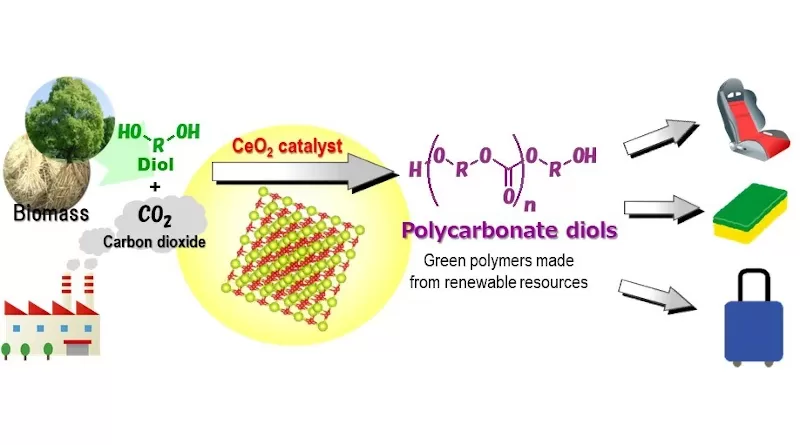 CeO2 catalyzes the direct polymerization of flow CO2 and diols to provide polycarbonate diols in high yields, which are useful chemicals for polyesters, polyurethanes, and acrylic resins.