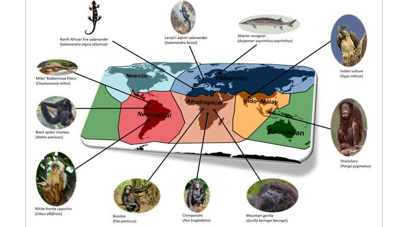 Toussaint et al 2021 - Examples of threatened species supporting unique functional traits. CREDIT: Wikimedia Commons
