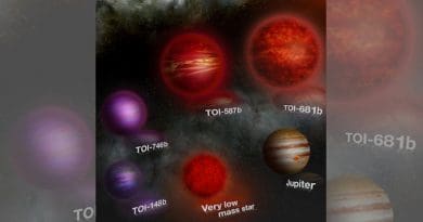 This artist’s illustration represents the five brown dwarfs discovered with the satellite TESS. These objects are all in close orbits of 5-27 days (at least 3 times closer than Mercury is to the sun) around their much larger host stars. CREDIT: © 2021 Creatives Commons Attribution-NonCommercial-ShareAlike 4.0 International (CC BY-NC-SA 4.0) - Thibaut Roger - UNIGE