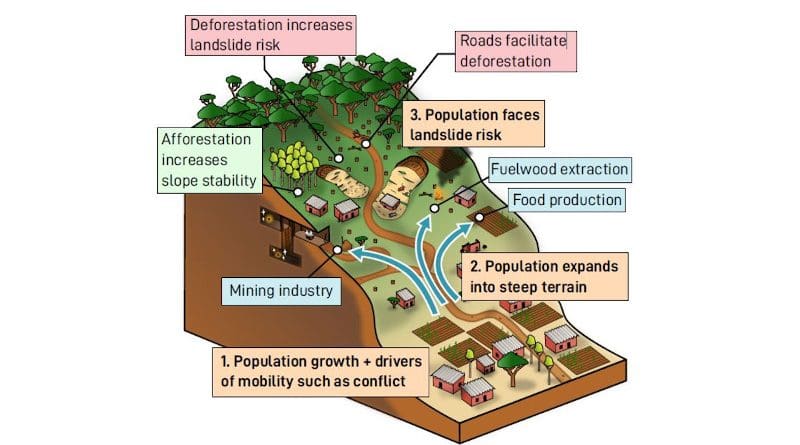 Research by KU Leuven, the Royal Museum for Central Africa, and ULB has shown that deforestation and population growth have greatly impacted landslide risk in the Kivu Rift. The findings were published in Nature Sustainability. CREDIT: © Arthur Depicker