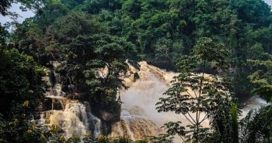 Rainforest Falls Water Forest Jungle Cascade Flow Congo