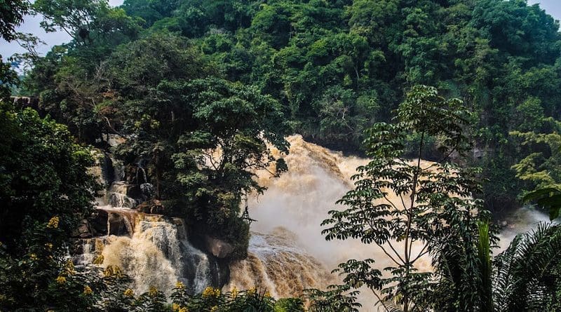 Rainforest Falls Water Forest Jungle Cascade Flow Congo