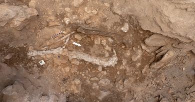 Remains of Linya, recovered in Cova Gran site/CEPA