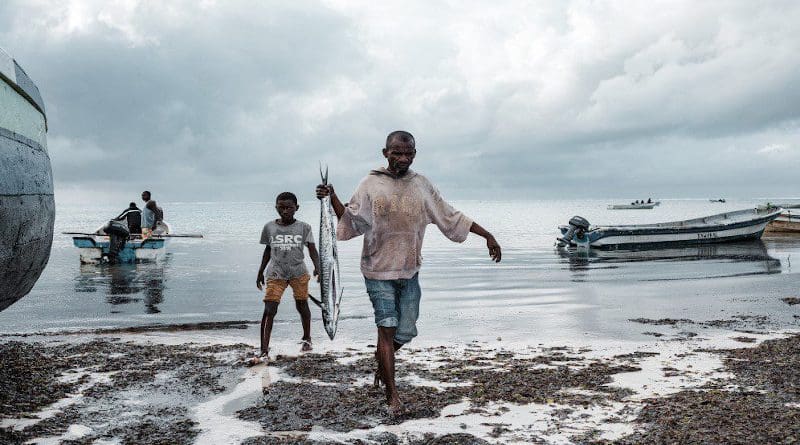 Fishermen carry fish from the boat. Copyright: Image by Antony Trivet from Pixabay