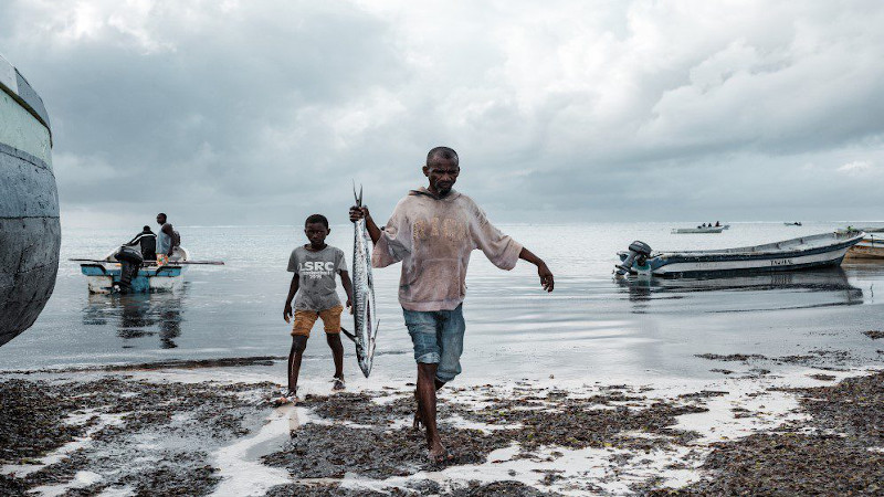 Fishermen carry fish from the boat. Copyright: Image by Antony Trivet from Pixabay