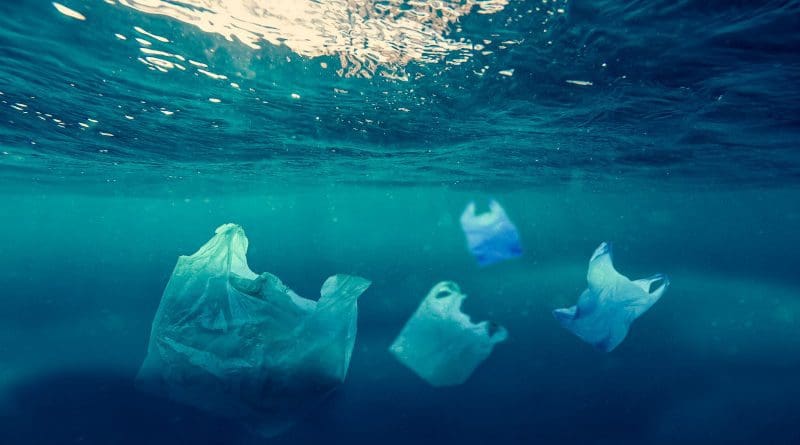 Plastic bags in sea. Photo Credit: Pixahive