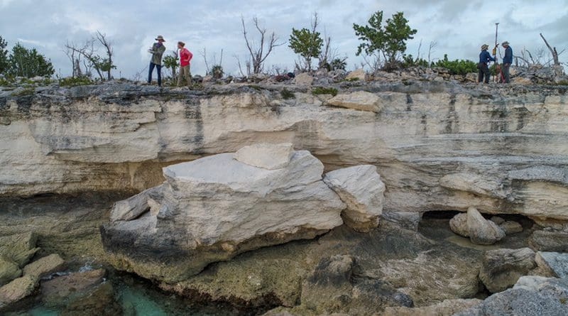 A new study of shorelines in the Bahamas may change estimates of past sea levels. Here, some of the authors survey coastal rocks on the archipelago’s Crooked Island formed when sea levels were higher. CREDIT Blake Dyer