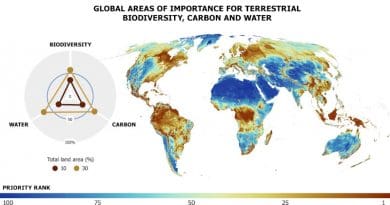 Global areas of importance for terrestrial biodiversity, carbon, and water and implications for prioritizing biodiversity and water protection over carbon Credit: Adam Islaam | International Institute for Applied Systems Analysis (IIASA)