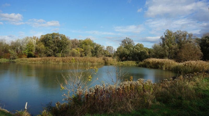 Increasing extreme weather events threaten the water quality of water resources in alluvial areas. CREDIT: A. P. Blaschke