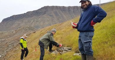 Dominique Fauteux (right) joins Norwegian scientists Stein Tore Pedersen (left) and Rolf Ims in 2019 at one of the grassy ridges on Spitzbergen Island where the voles are found. CREDIT: Eva Fuglei