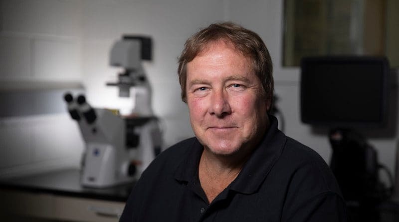 Ralph Tripp, GRA Eminent Scholar of Vaccine and Therapeutic Studies at the University of Georgia CREDIT: UGA