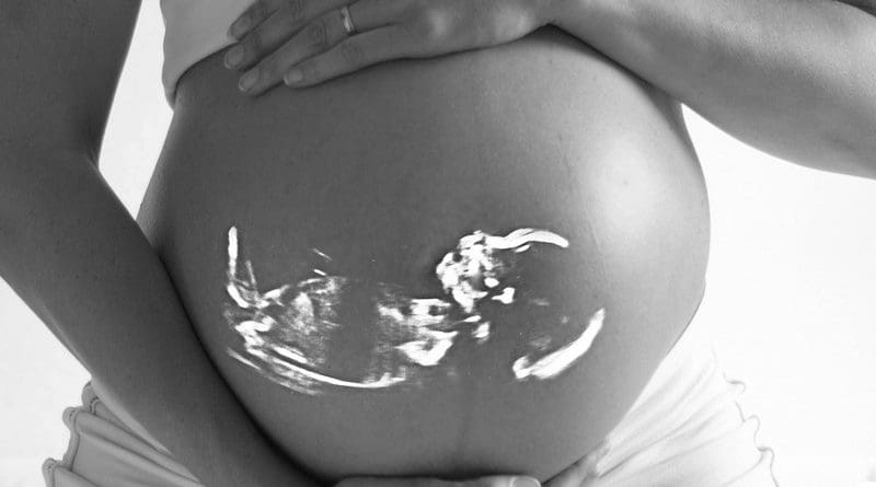 Pregnant Baby Echo Ultrasound Pregnancy Belly