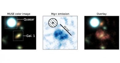 Observation of a part of the Universe thanks to MUSE Left: Demarcation of the quasar and the galaxy studied here, Gal1. Center: Nebula consisting of magnesium represented with a size scale Right: superimposition of the nebula and the Gal1 galaxy. © Johannes Zabl CREDIT: © Johannes Zabl