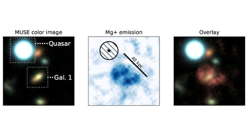 Observation of a part of the Universe thanks to MUSE Left: Demarcation of the quasar and the galaxy studied here, Gal1. Center: Nebula consisting of magnesium represented with a size scale Right: superimposition of the nebula and the Gal1 galaxy. © Johannes Zabl CREDIT: © Johannes Zabl