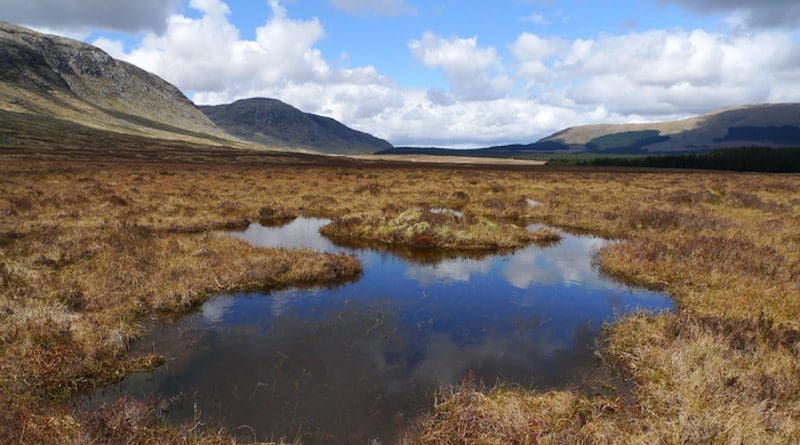 Snibe Bog Dumfries and Galloway, Scotland CREDIT: Credit Emma Goodyer - IUCN UK