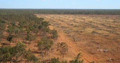 Aerial shot of deforestation in Daly River, Northern Territory in 2008. CREDIT: Julian Murphy/WWF-Aus