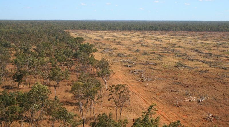 Aerial shot of deforestation in Daly River, Northern Territory in 2008. CREDIT: Julian Murphy/WWF-Aus