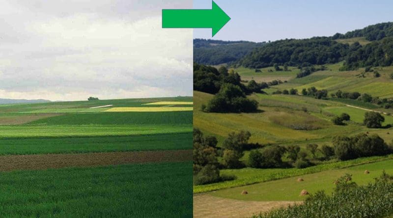 The restoration of agricultural landscapes for ecosystem services such as pollination and biological pest control needs targeted management to increase structural complexity and heterogeneity. Small fields, diverse crops and at least one-fifth semi-natural areas would be in line with the UN Decade (2021-2030) on ecosystem restoration. CREDIT: Dr Tibor Härtel (right), Professor Teja Tscharntke (left)