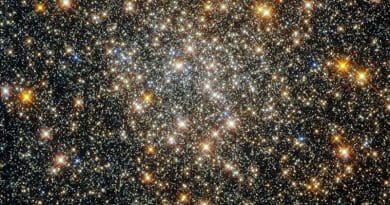 This sparkling starfield, captured by the NASA/ESA Hubble Space Telescope’s Wide Field Camera 3 and Advanced Camera for Surveys, contains the globular cluster ESO 520-21 (also known as Palomar 6). CREDIT: ESA/Hubble and NASA, R. Cohen