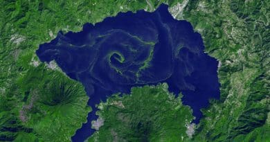 Lake Atitlán’s algae bloom in 2009 as seen from space. Scientists who analyzed satellite images of some lakes across the world have found that algal blooms got worse as temperatures got warmer. Image by NASA’s Terra satellite.