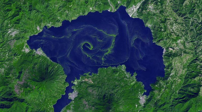 Lake Atitlán’s algae bloom in 2009 as seen from space. Scientists who analyzed satellite images of some lakes across the world have found that algal blooms got worse as temperatures got warmer. Image by NASA’s Terra satellite.