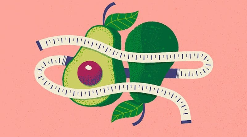 A diet that included an avocado a day reduced visceral belly fat in women in a randomized controlled study of adults with overweight and obesity. CREDIT: Graphic by Michael Vincent