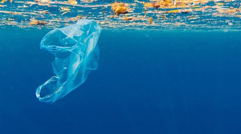plastics bag ocean marine pollution contamination