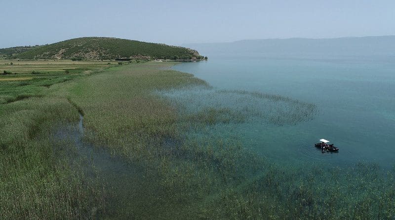 Lin 3, Lake Ohrid, Albania. Excavation situation in summer 2021. © Johannes Reich