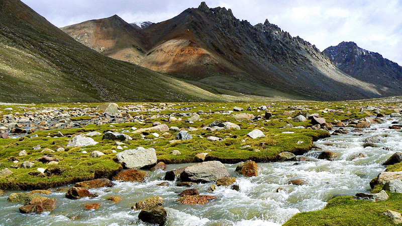 Rising Nitrogen And Rainfall Could Supercharge Greenhouse Gas Emissions From World’s Largest Grasslands – Eurasia Review