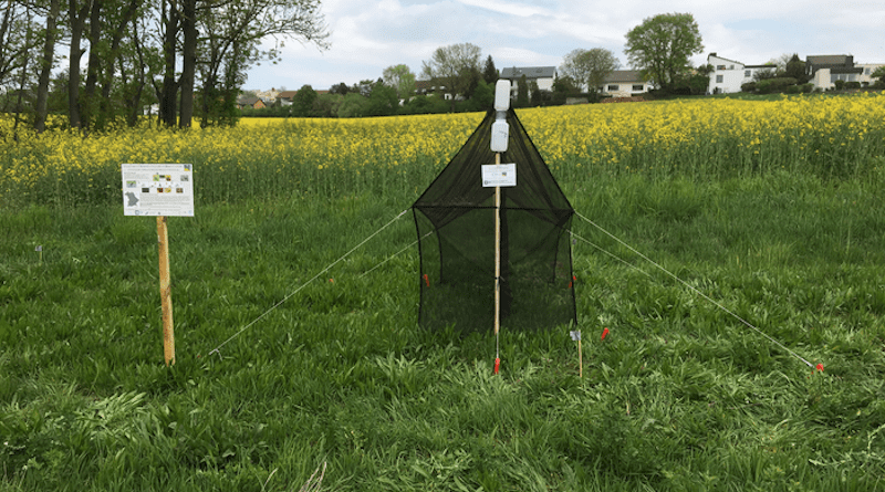Malaise traps are highly suitable for collecting a variety of insect species in different habitats. CREDIT: LandKlif team, Bavaria
