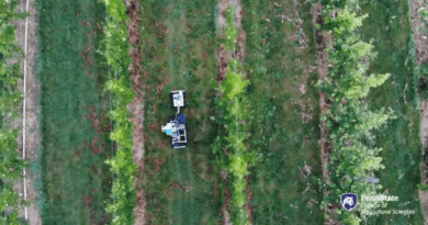 Video screenshot of demonstration of the machine vision device, featuring over-current driven LED lights. CREDIT: Penn State College of Agriculture, Dauen Choi