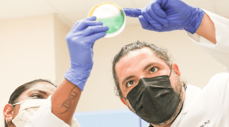 Salvador Almagro-Moreno joined UCF in 2017 and established his lab, which focuses on the emergence and evolution of bacterial pathogens. CREDIT: University of Central Florida